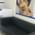 Healing Touch Homeopathy Clinic Image 3