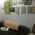 Ayush Electrohomeo Image 1