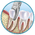 Smile Xpertz Image 6