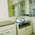 Ayush Homeopathy Clinic Image 6