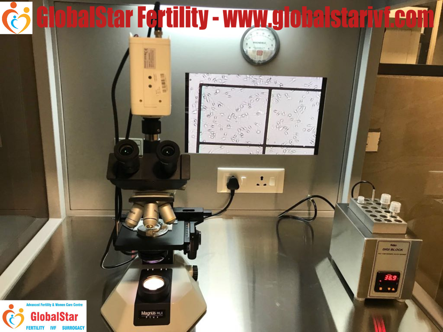 GlobalStar Fertility & Women Care Centre Image 11