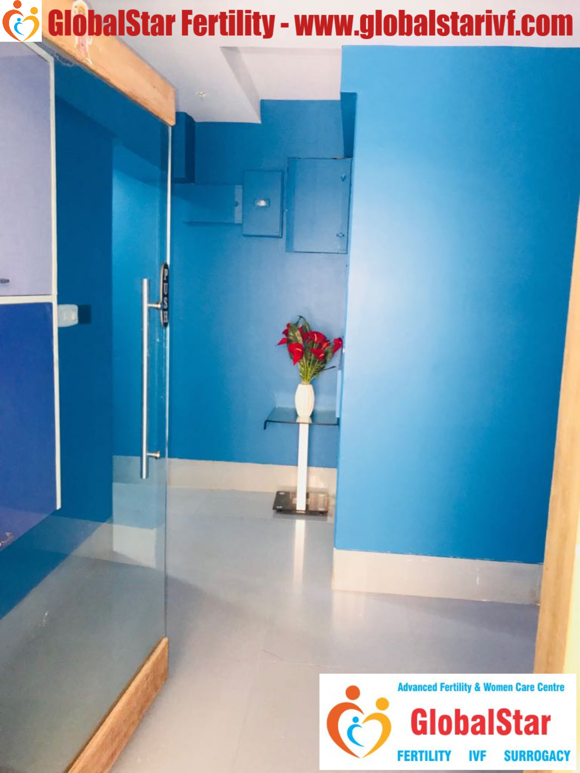 GlobalStar Fertility & Women Care Centre Image 10