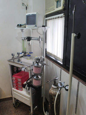 La Transformation's Image 1