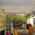 Prajna Veterinary Clinic Image 2