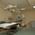 Lotus Multispeciality Hospital Image 2