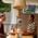 Psychological Counselling and Holistic Healing Clinic Image 9