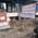 Homoeo Care Multispeciality Homoeopathic Clinic Image 2