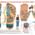 Acupressure Health Care System Image 6