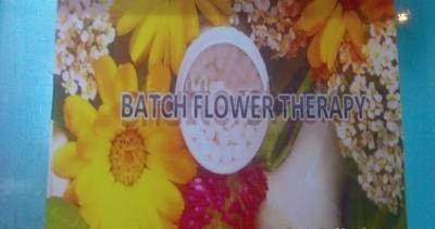 Dr Jaiswals Homoeopathy Clinic Image 4
