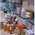 New Delhi Veterinary Clinic Image 5