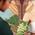 Sadayush Ayurvedic Cure and Care Image 6