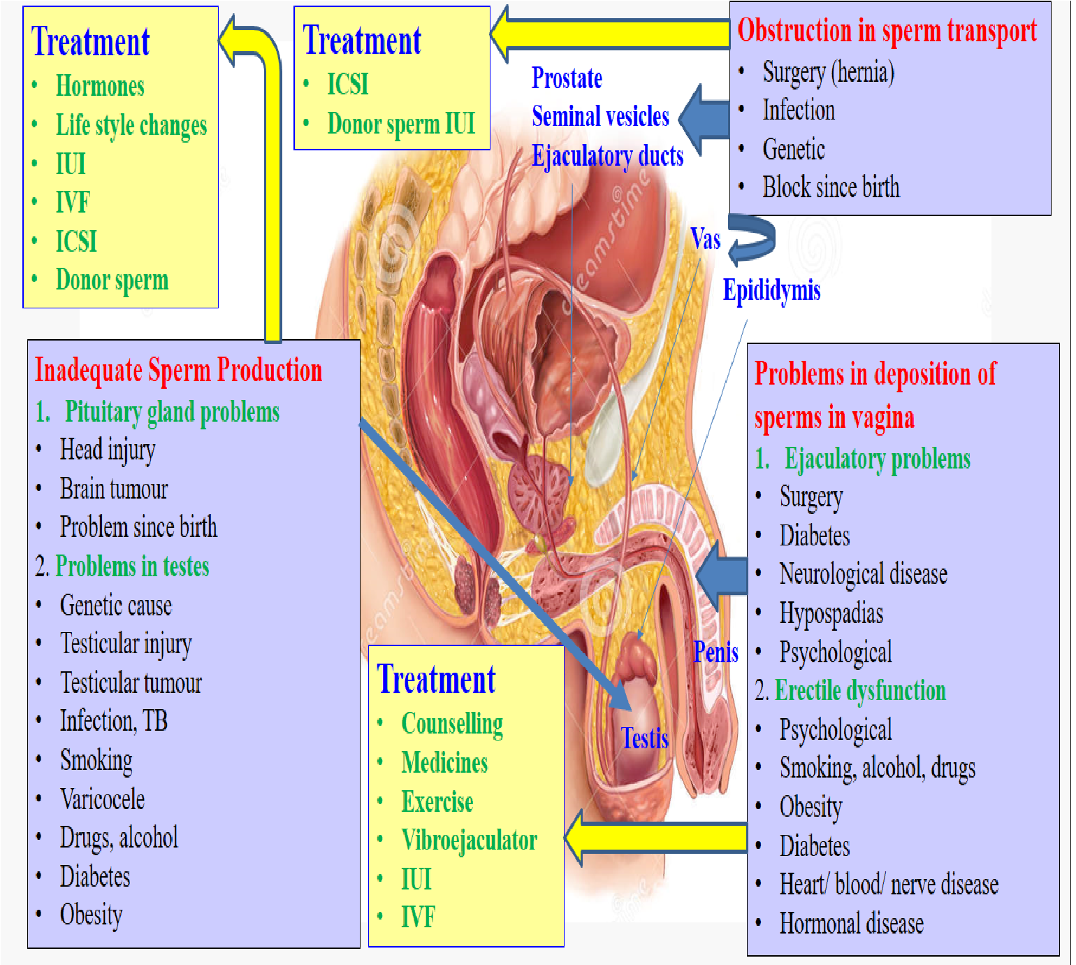 Doctors' Point, Tollygunj, Phone- 91630405537 Image 19