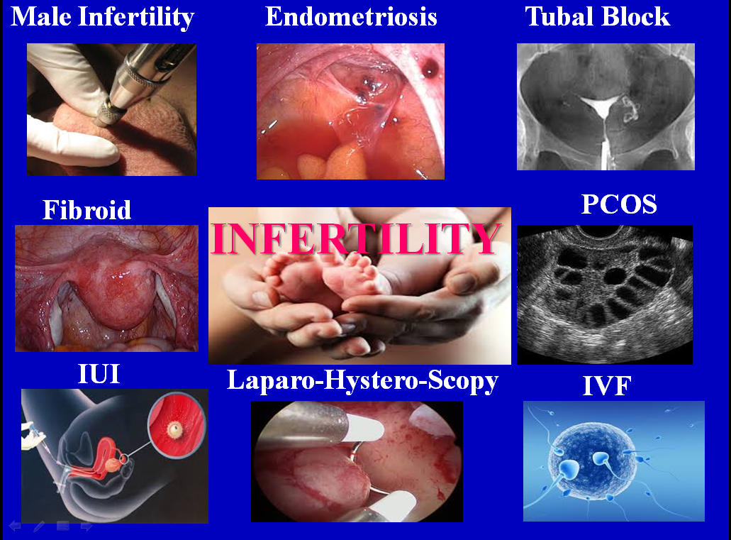 Doctors' Point, Tollygunj, Phone- 91630405537 Image 26