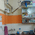 Pet Clinic Image 2